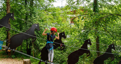 Kletterpark Lipizzanergestüt Piber - das Ausflugsziel Nummer Eins für Familien ruft gemeinsam mit der Bildungsdirektion Steiermark zum großen Kreativwettbewerb!