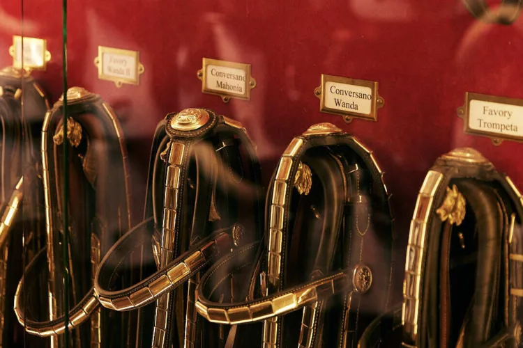 Detailaufnahme von schwarzem Vorführungszaum, der mit goldenem Messing verziert ist und hinter einer Glasvitrine hängt. Über den Zaumzeugen sind Namensplaketten der jeweiligen Pferde angebracht.