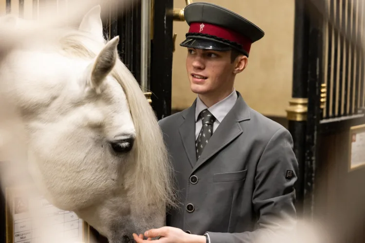 mensch mit Pferd