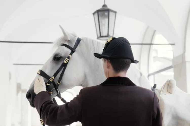 Pferd steht in Flur, Reiter in brauner Uniform hält es