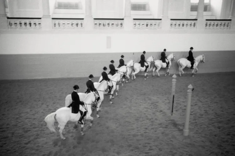 sw-Aufnahme einer Quadrille, 8 Pferde, 8 Reiter