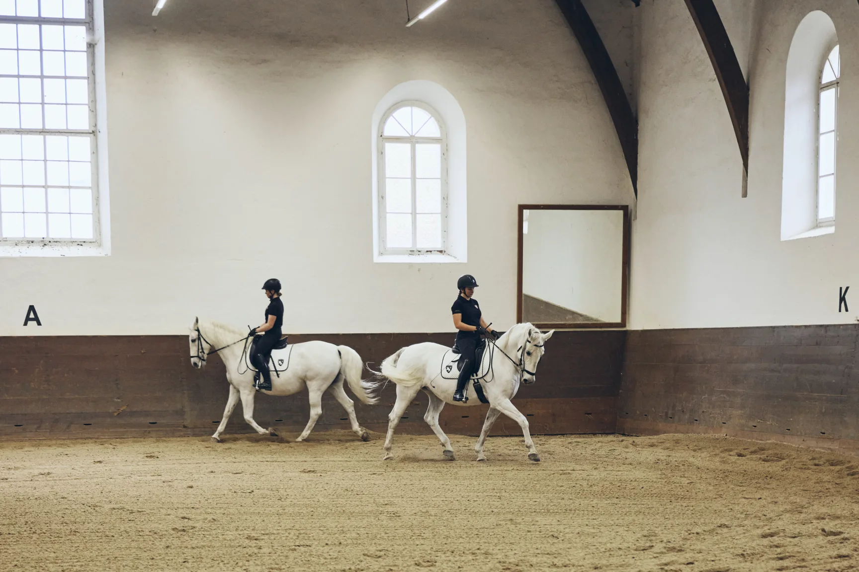 Lipizzaner horses with riders in a riding hall
